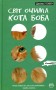 Світ очима кота Боба