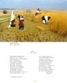 Фото Кобзар 6
