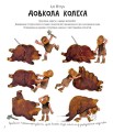 Фото Довкола колеса 2