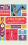 Крутезна інфографіка : Анатомія