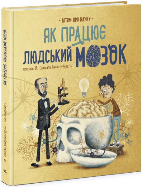 Фото Як працює людський мозок