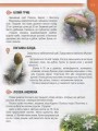 Фото Енциклопедія для допитливих А5 : Рослини і тварини України (Українська ) 8