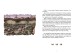 Фото Щури, кнури і миша 3