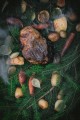Фото Cooking on Fire 15
