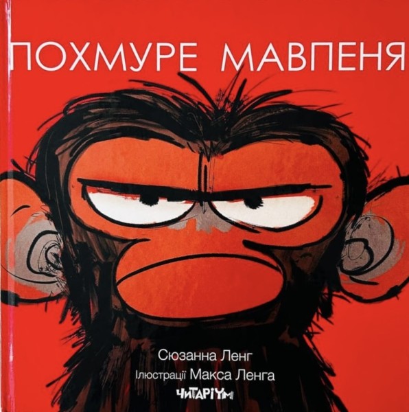 Фото Похмуре мавпеня