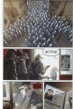 Фото Серед овець. Книга 1 6