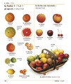 Фото Словник Italian-English Visual Bilingual Dictionary with FREE Audio APP 4