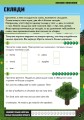 Фото MINECRAFT Англійська мова. Офіційний посібник. 9-10 років 3