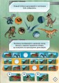 Фото LEGO Jurassic World Нова ера динозаврів! 7