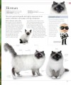 Фото The Cat Encyclopedia 19