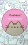 Мінірозмальовка Pusheen