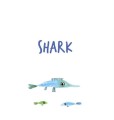Фото Sea Animals 3