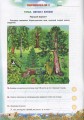 Фото Українська мова 2 клас. Перевірка предметних компетентностей 2