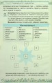 Фото Здоров'я, безпека та добробут 5 клас 4
