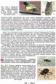 Фото Біологія і екологія 11 клас. Підручник. Рівень стандарту 3