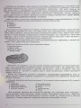 Фото ЗНО 2024. Біологія. Комплексна підготовка 3