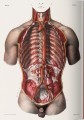 Фото Atlas of Human Anatomy and Surgery 4