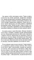 Фото Квіти цикорію 3