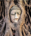 Фото Philosophers Who Changed History 3