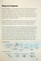 Фото Морські тварини світу. Нотатки, малюнки та спостереження про тварин, що живуть в океані 8