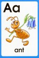 Фото Англійська абетка ABC Words. Картки 3