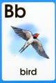 Фото Англійська абетка ABC Words. Картки 4