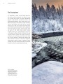 Фото Frozen Planet II: A World of Wonder Beyond the Ice 3