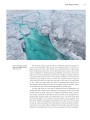 Фото Frozen Planet II: A World of Wonder Beyond the Ice 10