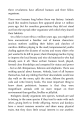 Фото Sapiens. A Brief History of Humankind 4