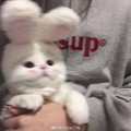 Юра
