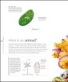 Фото The Science of Animals 19