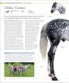 Фото The Horse Encyclopedia (new edition) 5