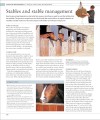 Фото The Horse Encyclopedia (new edition) 12