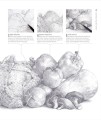 Фото Artist's Drawing Techniques. Discover How to Draw Landscapes, People, Still Lifes and More, in Pencil, Charcoal, Pen and Pastel 10