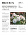 Фото Grow Roses. Essential Know-how and Expert Advice for Gardening Success 12