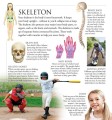 Фото The Pop-up, Pull out: Human Body 2