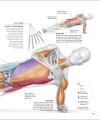 Фото Science of Strength Training 11