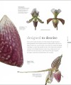 Фото The Science of Plants 16