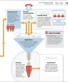 Фото How Business Works 8