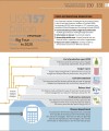 Фото How Business Works 12