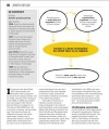 Фото Big Ideas. The Sociology Book 4