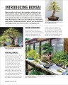 Фото Grow Bonsai 5