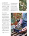 Фото Grow Bonsai 6