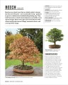 Фото Grow Bonsai 7