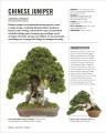 Фото Grow Bonsai 9