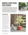 Фото Grow Bonsai 11