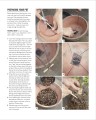 Фото Grow Bonsai 12