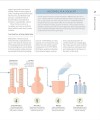 Фото Gin. A Tasting Course 10