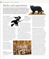 Фото The Cat Encyclopedia 4