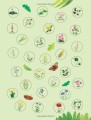 Фото Flowers to Spot. Usborne Minis 6